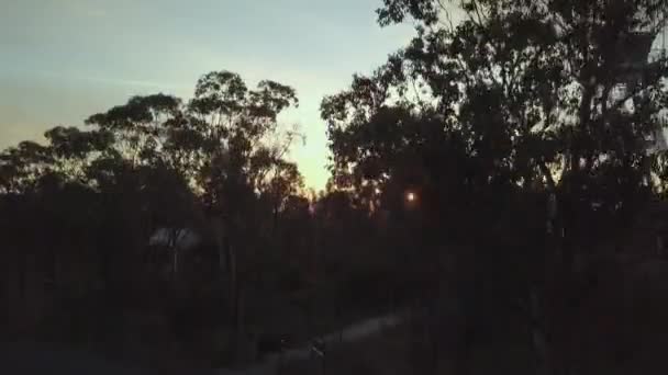 Clip Dron Amanecer Especatuclar Cerca One Tree Hill Lookout Situado — Vídeos de Stock