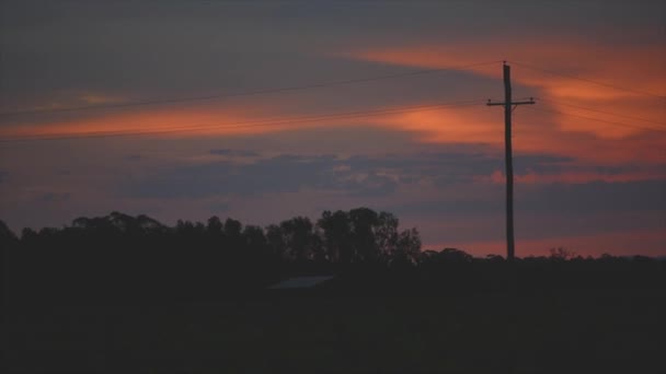 オーストラリア ニューサウスウェールズ州ハンターヴァレーのブドウ畑の夕日 — ストック動画