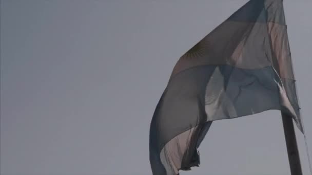 Argentijnse Vlag Wapperend Wind — Stockvideo