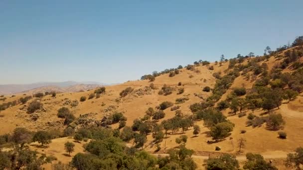 Летит Медленно Над Холмами Пустыни Спорадическими Деревьями Калифорнии — стоковое видео