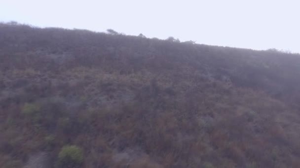 霧ストック動画 ロイヤリティフリー霧動画 Depositphotos