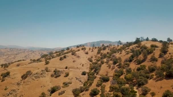 Aéreo Voando Sobre Montanhas Deserto Cobertas Árvores Califórnia — Vídeo de Stock