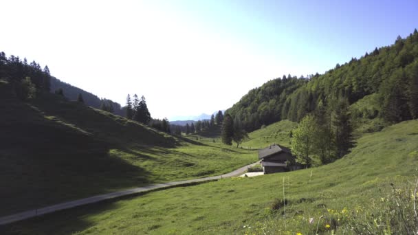 Lodge Een Klein Groen Dal — Stockvideo