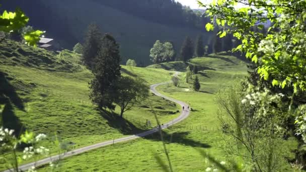 Dos Personas Caminando Por Camino Forestal Hermoso Valle — Vídeos de Stock