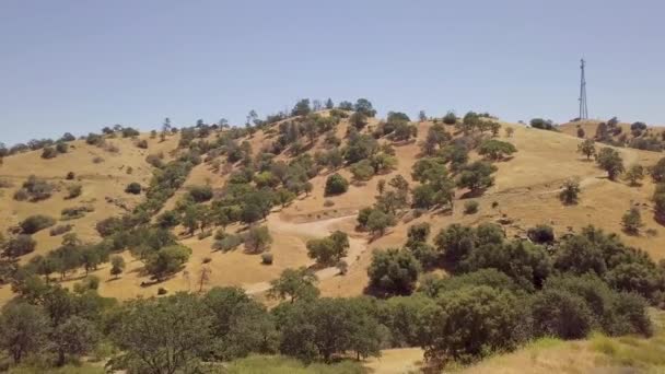 Pan Aérea Uma Encosta Marrom Cheia Árvores Califórnia Dia Verão — Vídeo de Stock