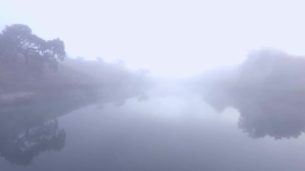 Egy Békés Kék Víztározó Felett Sodródva Egy Ködös Reggelen — Stock videók