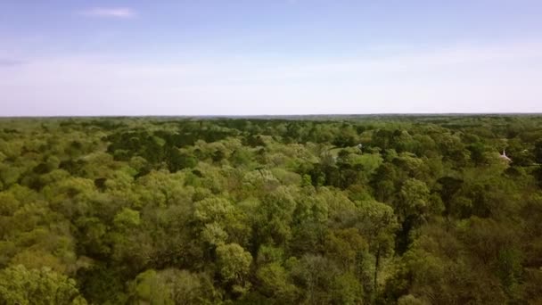 Aéreo Voando Acima Das Copas Das Árvores Uma Floresta Espessa — Vídeo de Stock