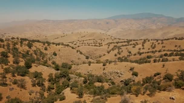 Légi húzódjon vissza, repül át egy gördülő sivatagi táj szórványos fák Kaliforniában