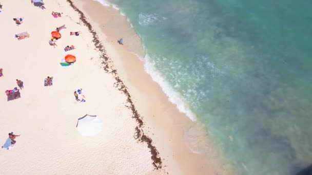 ภาพโดรนของชายหาดท Playa Del Carmen Mexico — วีดีโอสต็อก