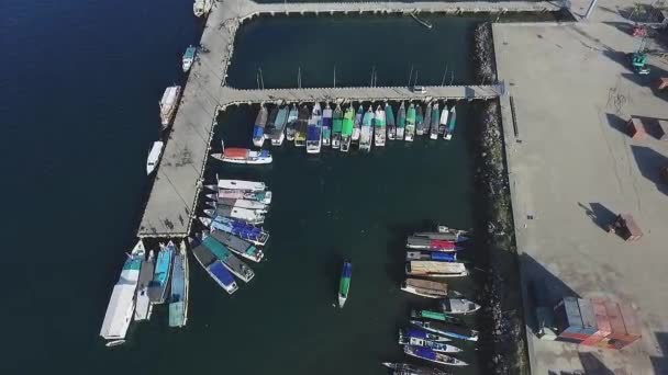 Anlegestelle Für Kleine Boote Luftaufnahme Vogelauge — Stockvideo