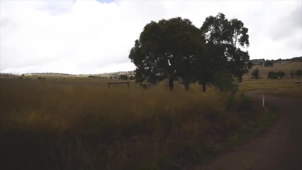 Carretera Mar Australia — Vídeos de Stock