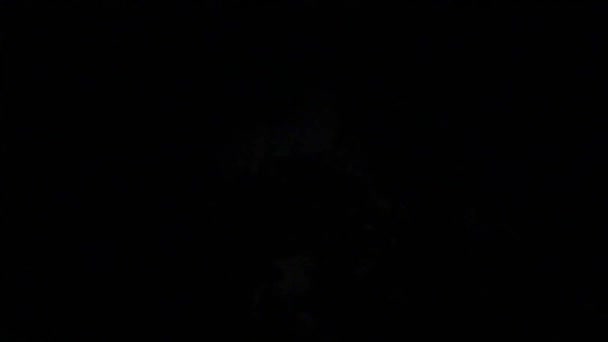 Барвисті Феєрверки Стріляють Вночі Лісі — стокове відео