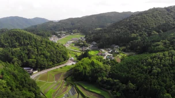 日本の農村部の森林に囲まれた谷の田んぼ — ストック動画