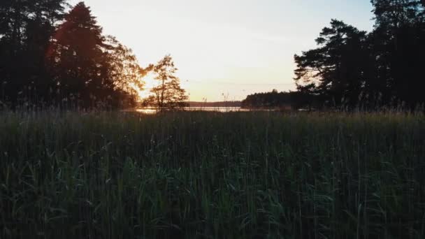 Drohnenangriff Auf Schären Der Küste Südfinnlands — Stockvideo