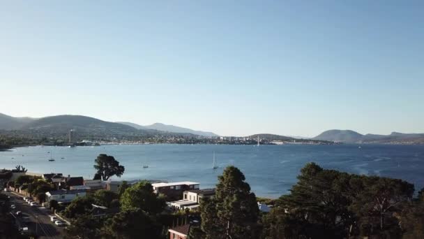 Drone Pan Rising Trees Reveal Summer Beach Και Australian City — Αρχείο Βίντεο