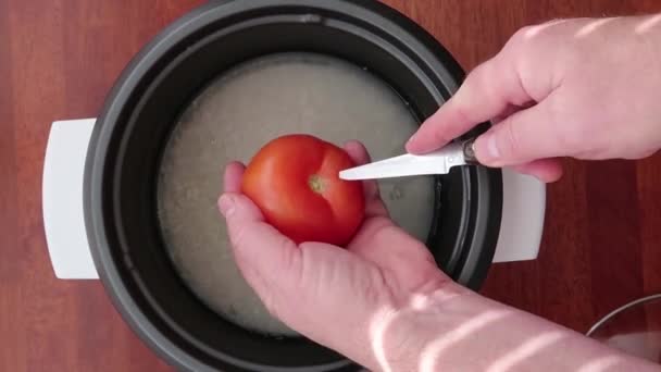 Snijden Van Een Rijpe Tomaat Koken Met Rijst Een Rijstkoker — Stockvideo