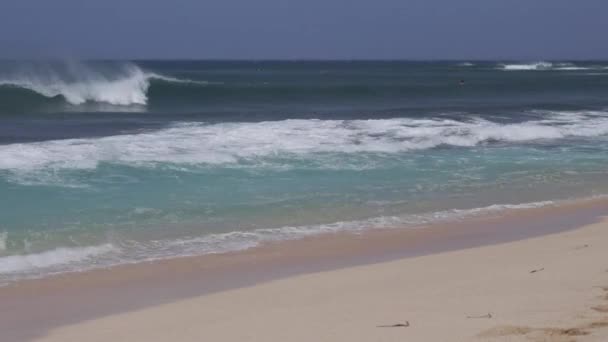 Ondas Ondulantes Del Océano Estrellándose Contra Playa Arena Surfistas Del — Vídeo de stock