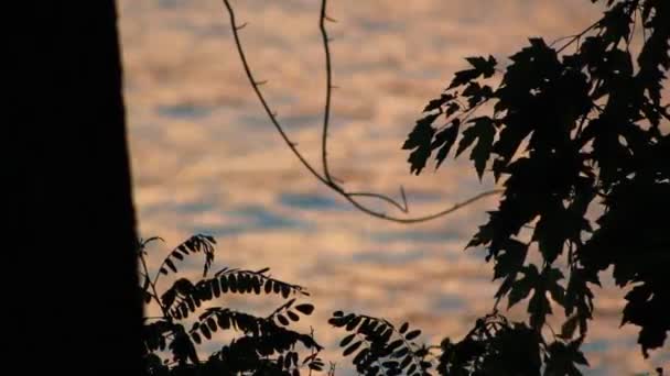 Pôr Sol Lago Hora Ouro — Vídeo de Stock