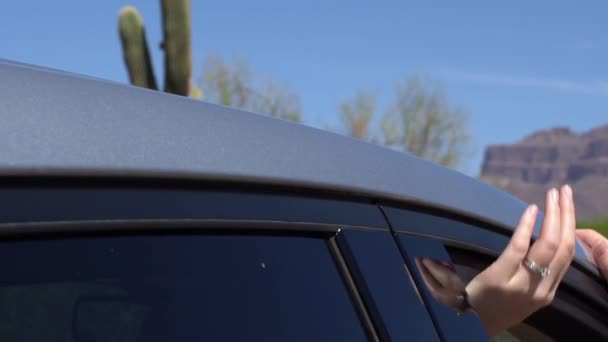 女性がサボテンで車の窓から貸し出し 背景に赤い山を取り除く — ストック動画