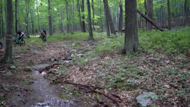 一本の道で森を抜けて小川を渡るマウンテンバイクの長蛇の列 — ストック動画