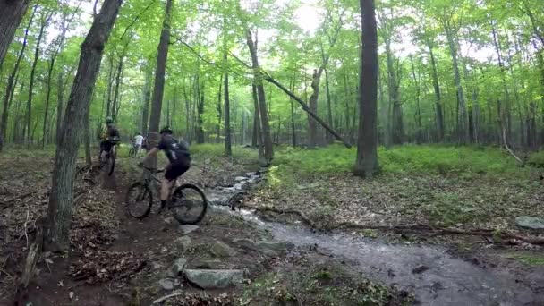 Long Line Mountain Bikers Riding Stream Forest Single Track — Stock Video