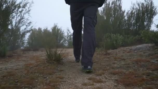 Jovem Caminhando Longo Caminho Floresta Através Das Montanhas Uma Manhã — Vídeo de Stock