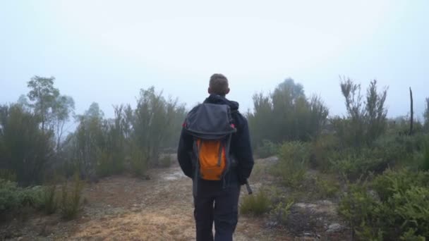 Joven Con Mochila Caminando Por Las Montañas Una Mañana Brumosa — Vídeos de Stock