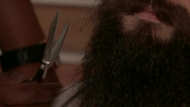Homem Barbudo Tem Barba Cortada Com Tesoura — Vídeo de Stock