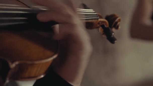 Primer Plano Los Dedos Violinista Moviéndose Rápidamente Través Del Cuello — Vídeo de stock