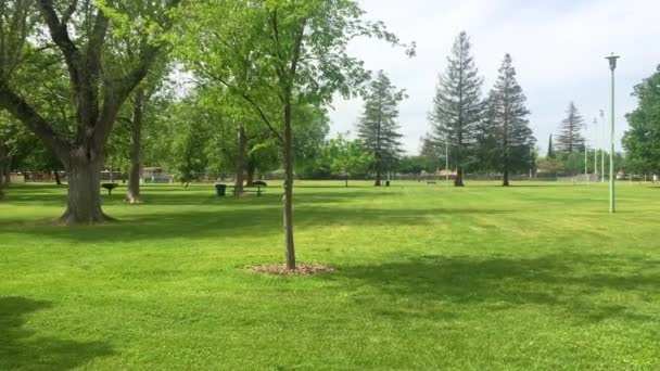 在温暖的阳光明媚的日子 拍下了一个空旷的公园 — 图库视频影像