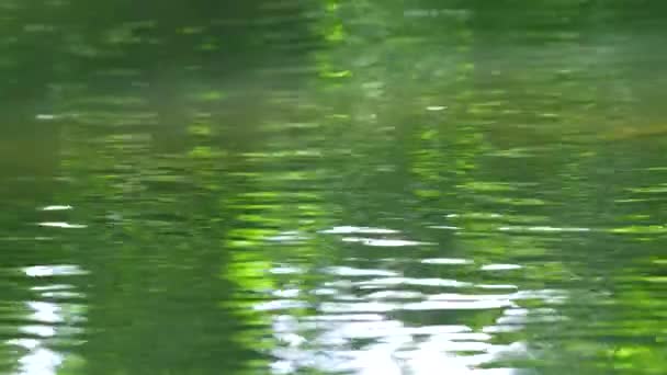 Ringar Och Reflektioner Floden Slow Motion Halvfart — Stockvideo