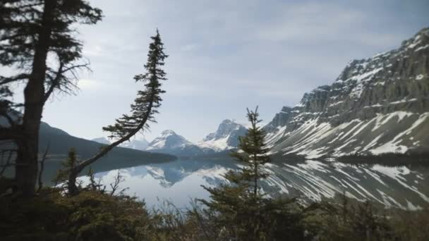 4K弓湖 艾伯塔省 前景中的树 背景中山脉的镜像反射 圆滑的右边 移动的射击 — 图库视频影像