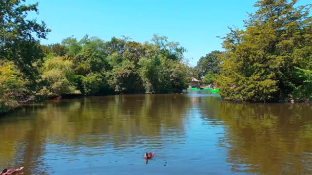 Hermoso Lago Parque Público Con Árboles Distancia Cielo Azul Londres — Vídeo de stock