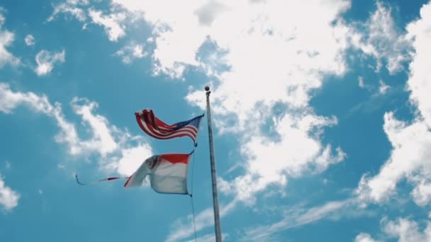 Ηπα Και Μιζούρι Σημαίες Ένα Στύλο Σημαία Κυματίζει Στον Άνεμο — Αρχείο Βίντεο