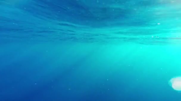 Colorida Vista Submarina Superficie Ondulante — Vídeos de Stock