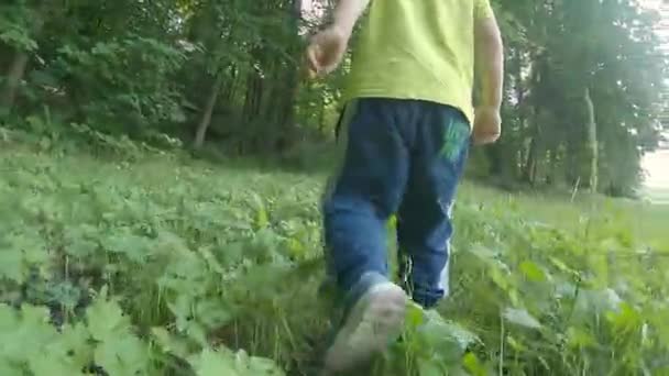 Mały Dzieciak Spacerujący Lesie Strzał Lustro — Wideo stockowe