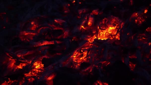 Carboni Nel Fuoco Vicino — Video Stock