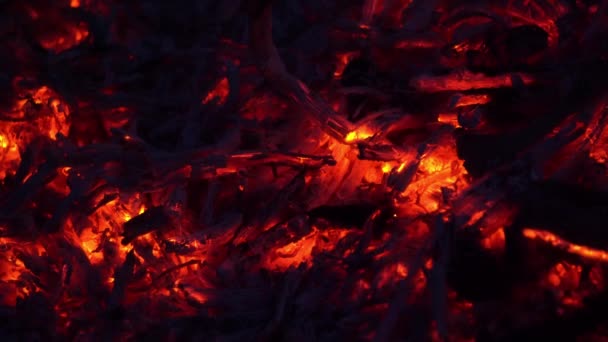 Coals Fire Close — Stock Video