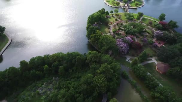 Schoten Uit Het Park Een Zonnige Zomerdag — Stockvideo