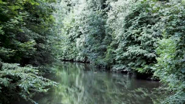 Kachna Plavající Pomalu Pohybující Řece Německu — Stock video