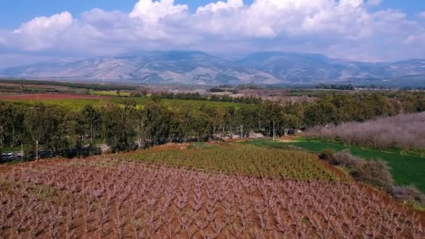 Voando Campos Para Monte Estrada Rural — Vídeo de Stock