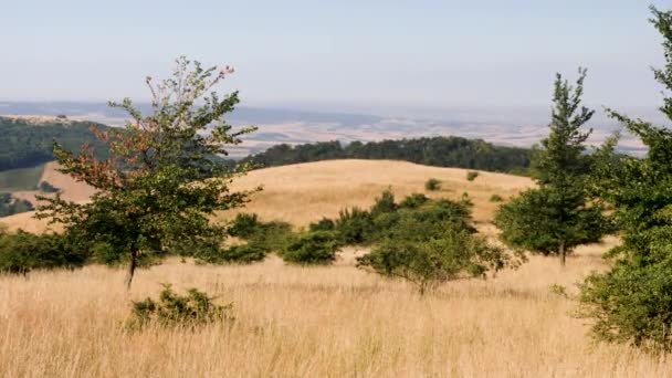 Vue Panoramique Sur Nature — Video