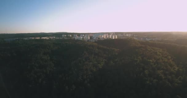 Cidade Além Das Árvores — Vídeo de Stock