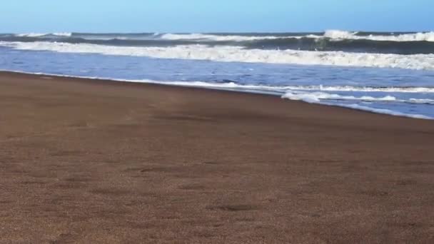 Порожній Пляж Блакитним Морем Великими Хвилями Людей — стокове відео