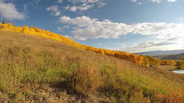 Krásný Podzimní Den Coloradu — Stock video