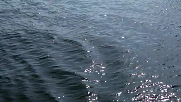穏やかな澄んだ水 太陽とフォーカスを反映して滑らかなボケに落ちる — ストック動画