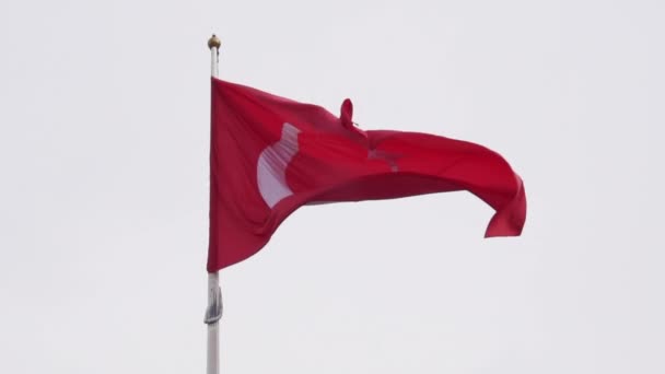 Eine Türkische Flagge Weht Zeitlupe — Stockvideo