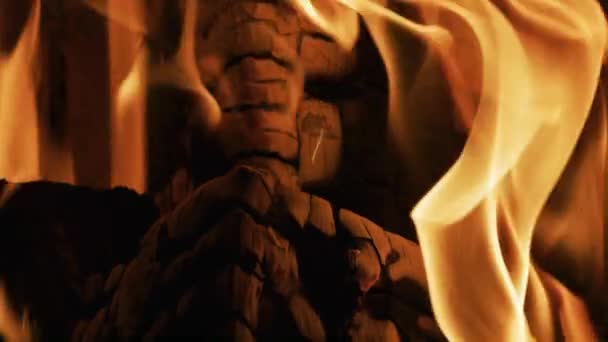 Zavřít Záběry Plamenů Hořící Klády — Stock video