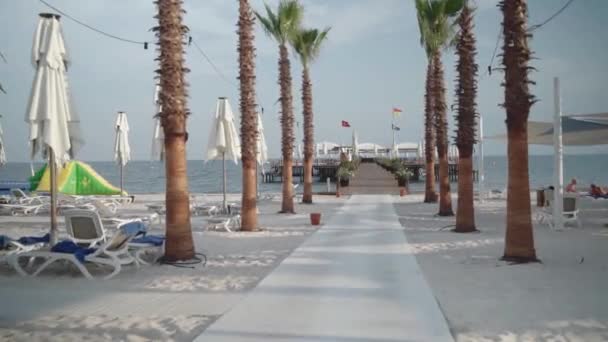 Caminar Por Callejón Palma Playa Gimbal Establecer — Vídeo de stock