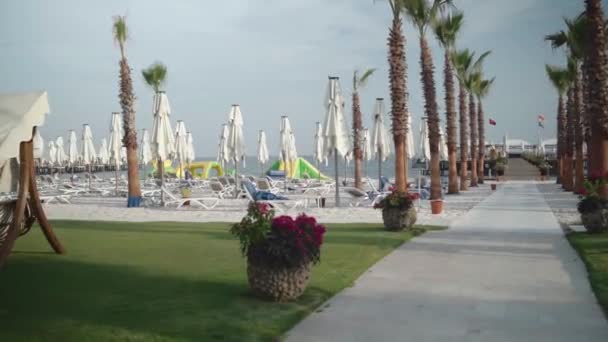 Пішки Пляж Золоту Годину Пляжні Стільці Парасольки Пальми Намагається Встановлюючи — стокове відео